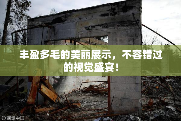 丰盈多毛的美丽展示，不容错过的视觉盛宴！