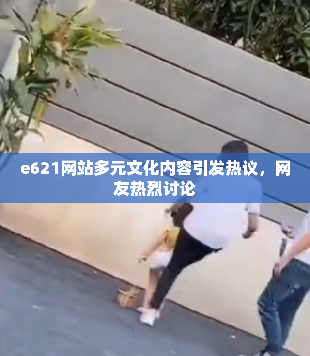 e621网站多元文化内容引发热议，网友热烈讨论