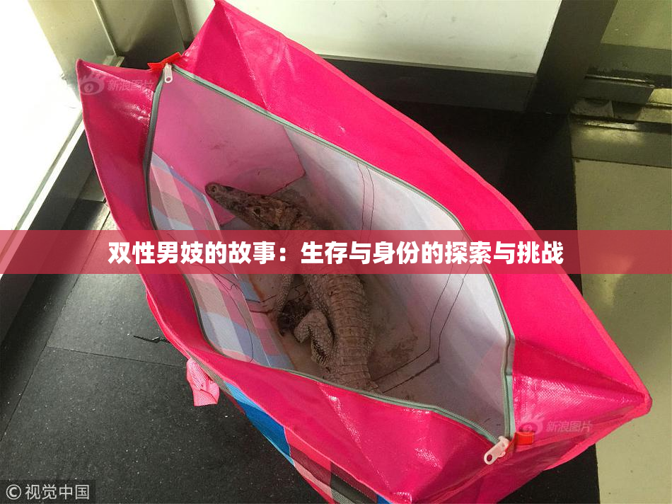 双性男妓的故事：生存与身份的探索与挑战