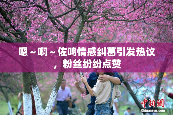嗯～啊～佐鸣情感纠葛引发热议，粉丝纷纷点赞