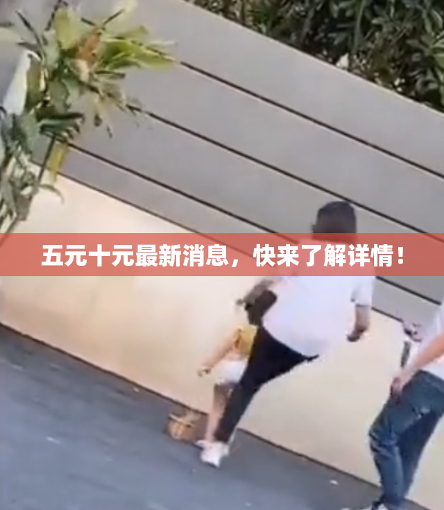 五元十元最新消息，快来了解详情！