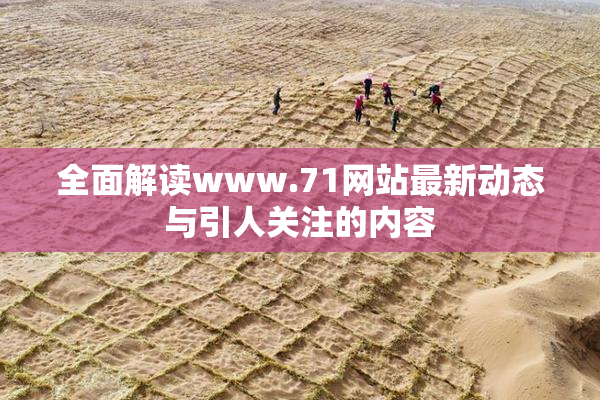 全面解读www.71网站最新动态与引人关注的内容