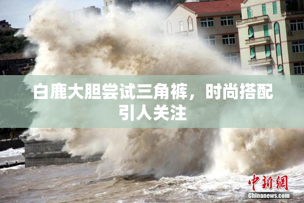 白鹿大胆尝试三角裤，时尚搭配引人关注