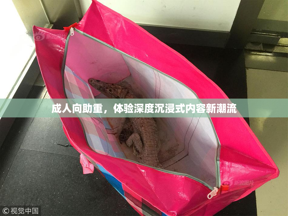 成人向助重，体验深度沉浸式内容新潮流