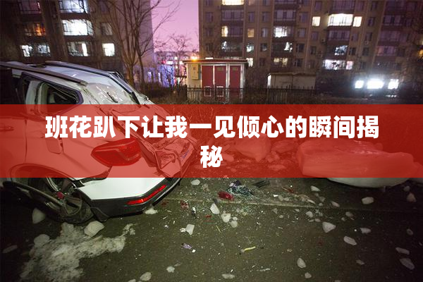 班花趴下让我一见倾心的瞬间揭秘