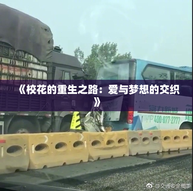 《校花的重生之路：爱与梦想的交织》