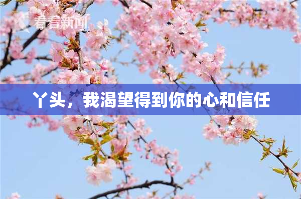 丫头，我渴望得到你的心和信任