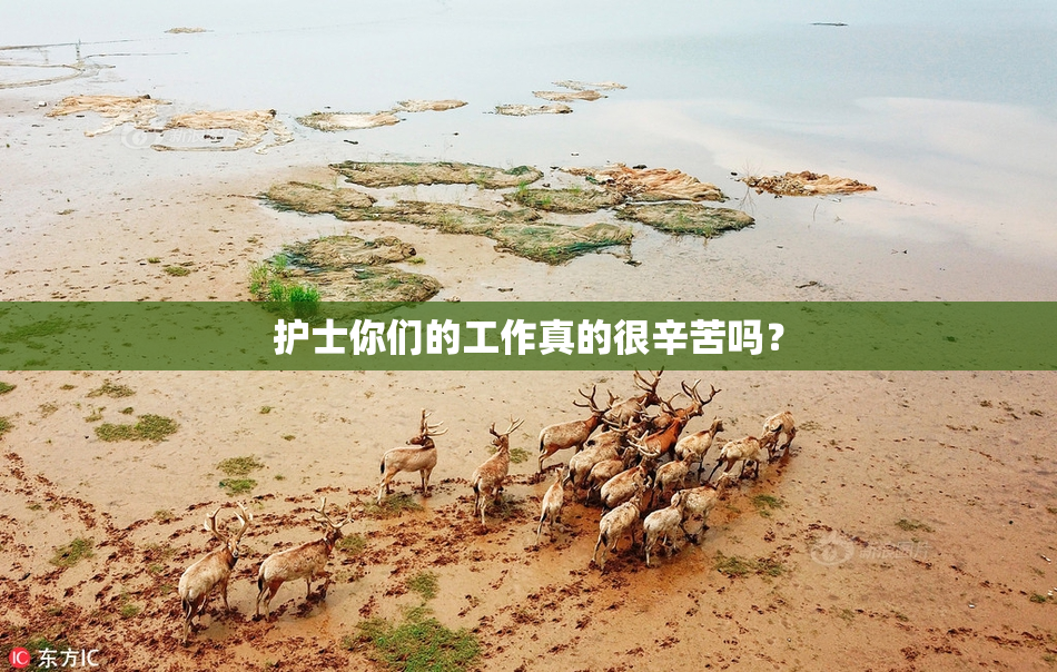 护士你们的工作真的很辛苦吗？