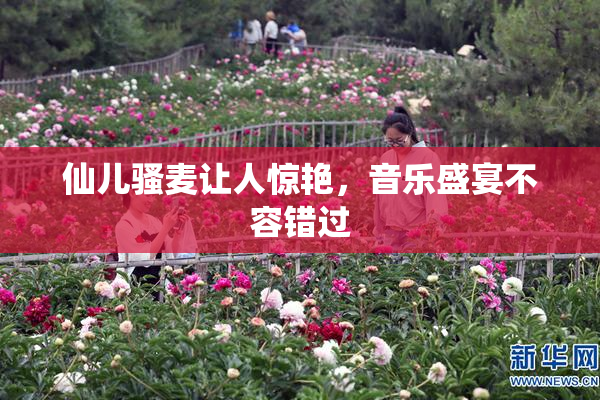 仙儿骚麦让人惊艳，音乐盛宴不容错过