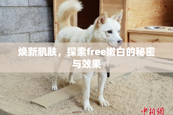 焕新肌肤，探索free嫩白的秘密与效果
