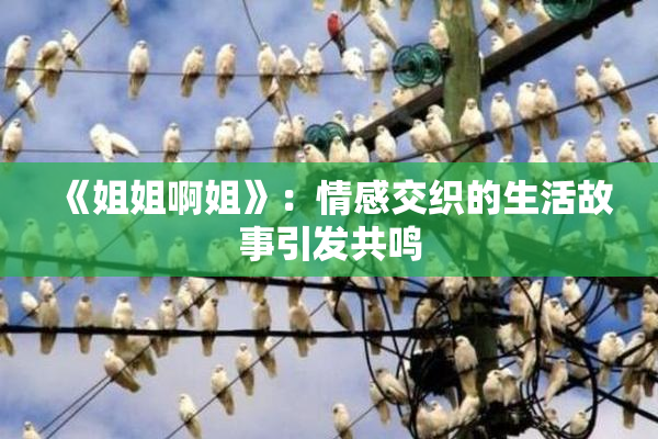 《姐姐啊姐》：情感交织的生活故事引发共鸣