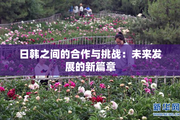 日韩之间的合作与挑战：未来发展的新篇章