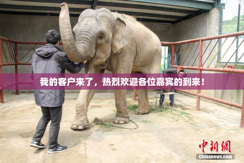 我的客户来了，热烈欢迎各位嘉宾的到来！
