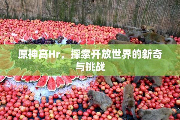原神高Hr，探索开放世界的新奇与挑战