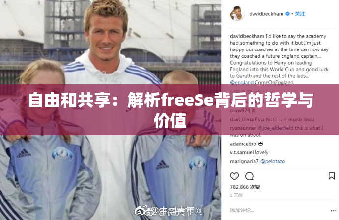 自由和共享：解析freeSe背后的哲学与价值