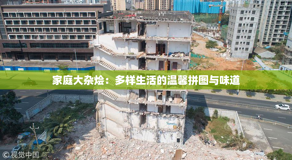 家庭大杂烩：多样生活的温馨拼图与味道