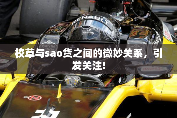 校草与sao货之间的微妙关系，引发关注!