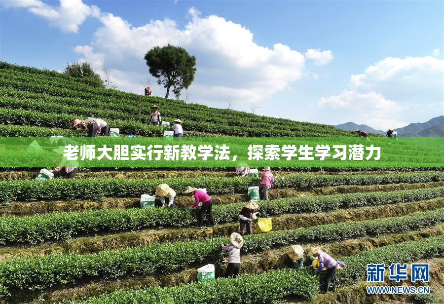 老师大胆实行新教学法，探索学生学习潜力