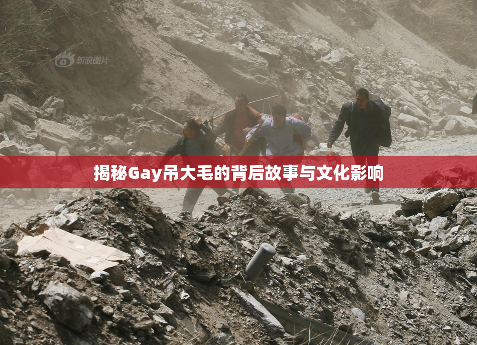 揭秘Gay吊大毛的背后故事与文化影响