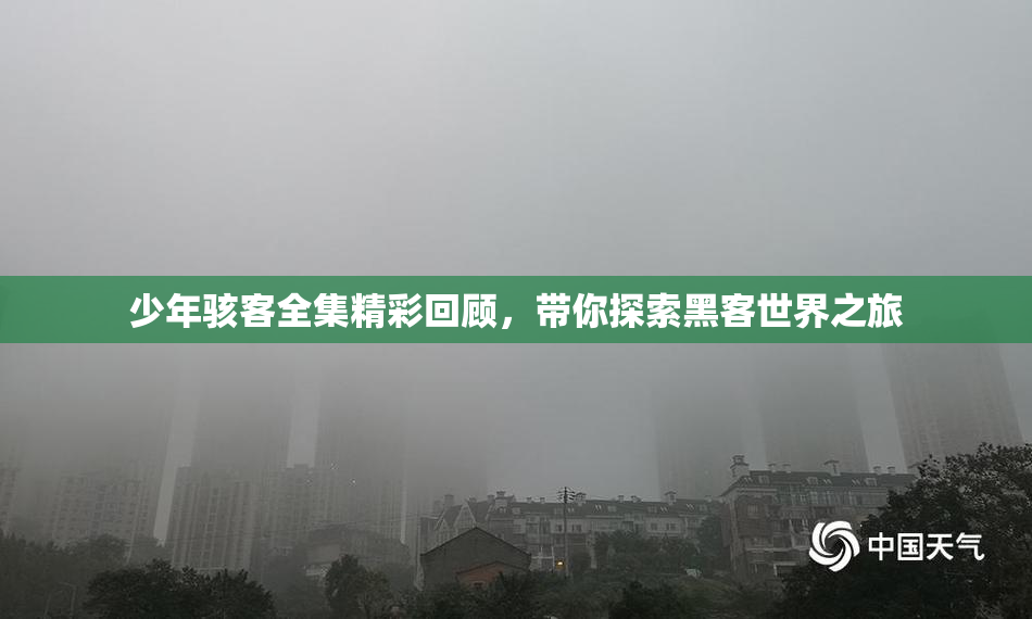 少年骇客全集精彩回顾，带你探索黑客世界之旅