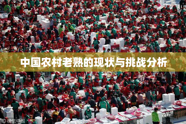 中国农村老熟的现状与挑战分析