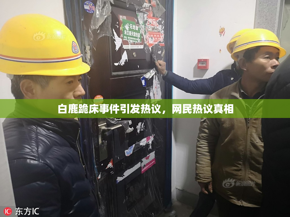 白鹿跪床事件引发热议，网民热议真相