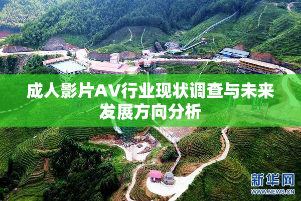成人影片AV行业现状调查与未来发展方向分析