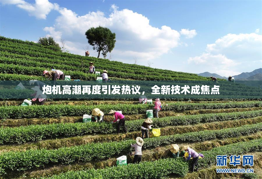 炮机高潮再度引发热议，全新技术成焦点