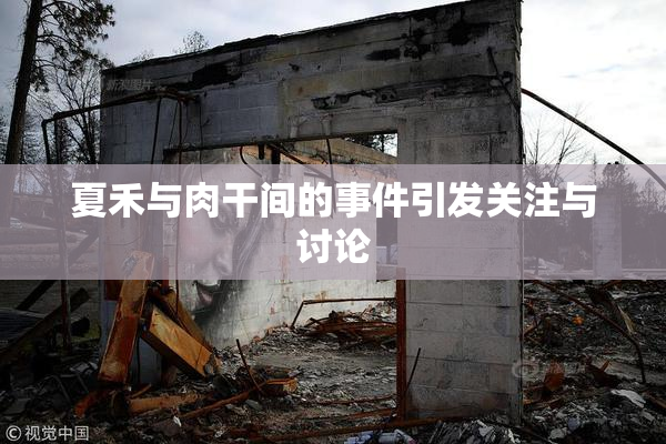 夏禾与肉干间的事件引发关注与讨论