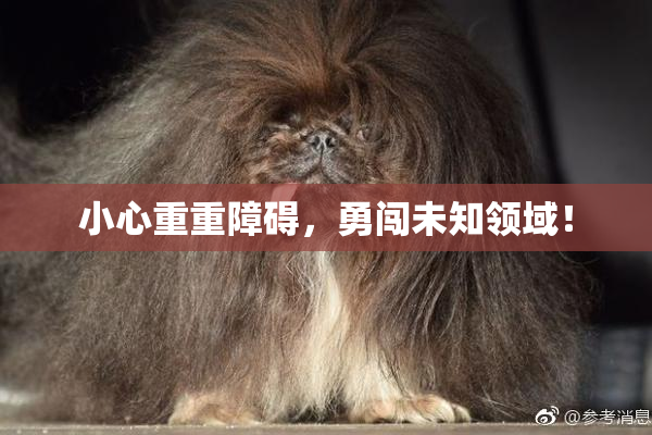 小心重重障碍，勇闯未知领域！