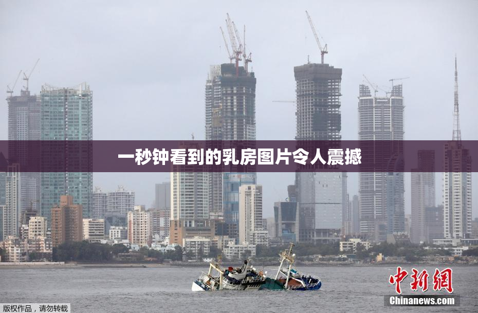 一秒钟看到的乳房图片令人震撼
