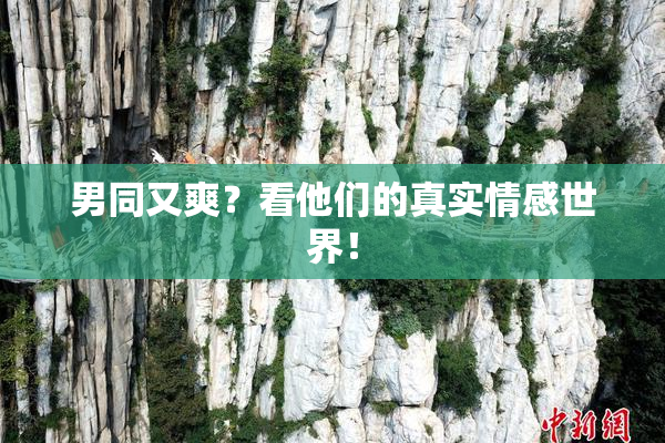 男同又爽？看他们的真实情感世界！