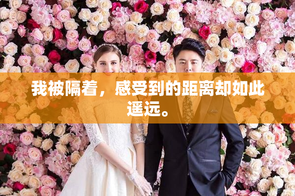 我被隔着，感受到的距离却如此遥远。