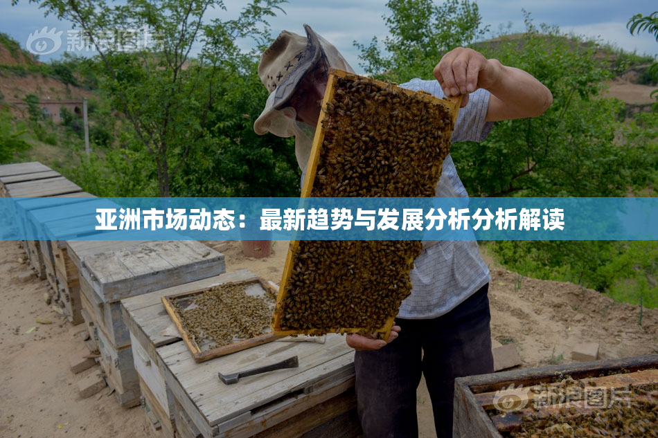 亚洲市场动态：最新趋势与发展分析分析解读