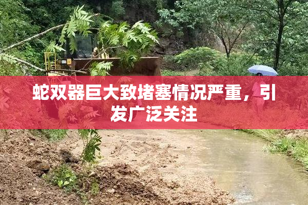 蛇双器巨大致堵塞情况严重，引发广泛关注
