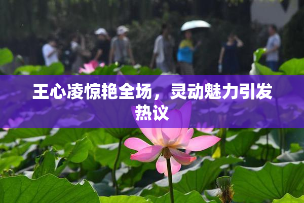 王心凌惊艳全场，灵动魅力引发热议