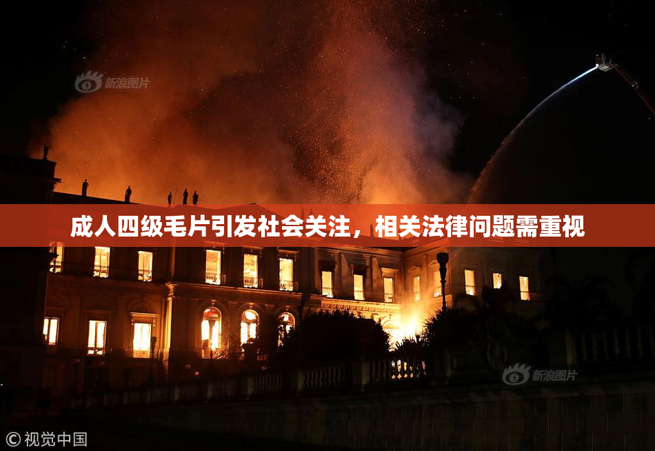 成人四级毛片引发社会关注，相关法律问题需重视
