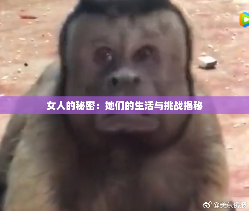 女人的秘密：她们的生活与挑战揭秘