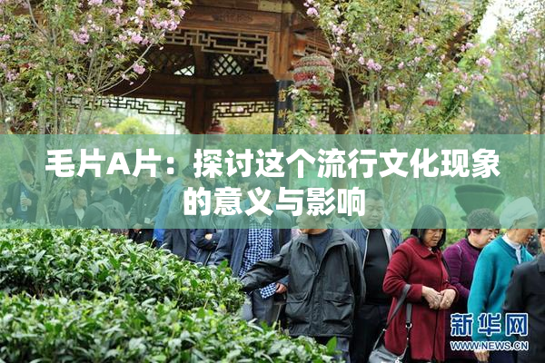 毛片A片：探讨这个流行文化现象的意义与影响