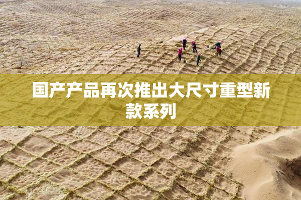 国产产品再次推出大尺寸重型新款系列