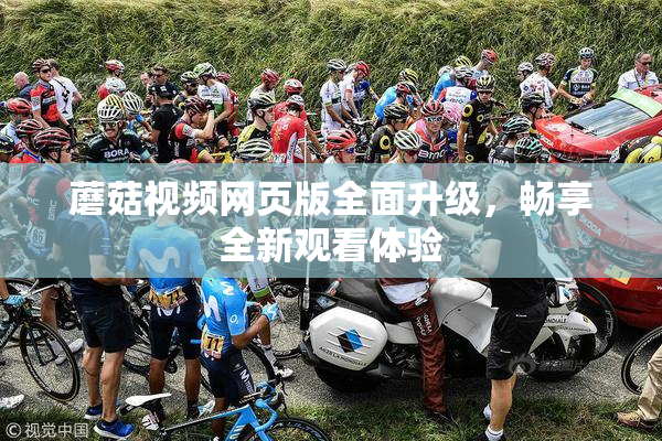 蘑菇视频网页版全面升级，畅享全新观看体验
