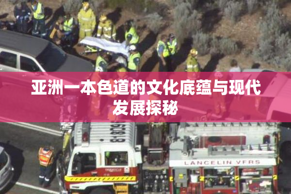 亚洲一本色道的文化底蕴与现代发展探秘