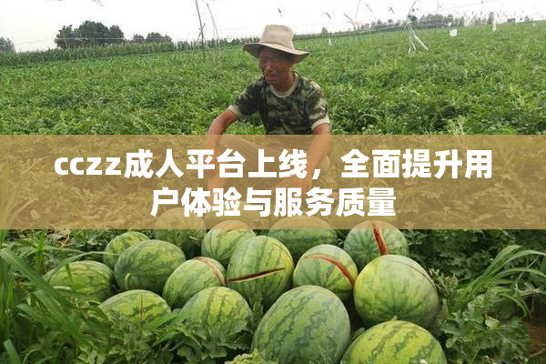 cczz成人平台上线，全面提升用户体验与服务质量