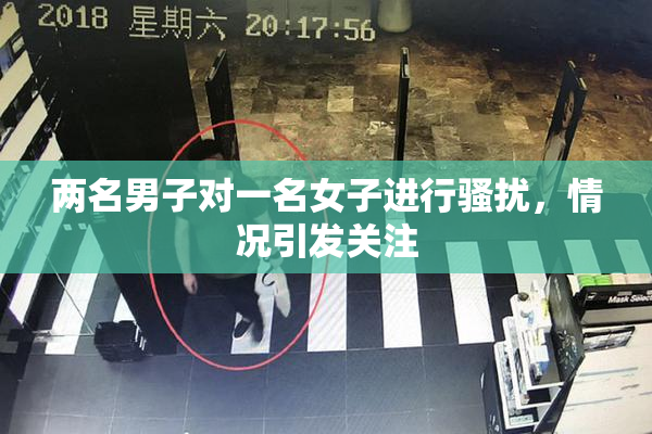 两名男子对一名女子进行骚扰，情况引发关注