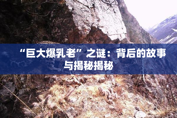 “巨大爆乳老”之谜：背后的故事与揭秘揭秘