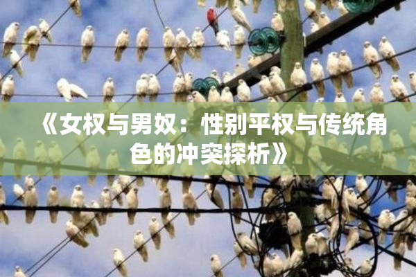 《女权与男奴：性别平权与传统角色的冲突探析》
