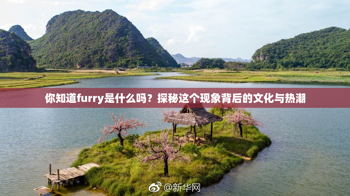 你知道furry是什么吗？探秘这个现象背后的文化与热潮