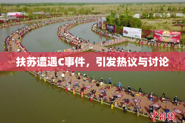 扶苏遭遇C事件，引发热议与讨论