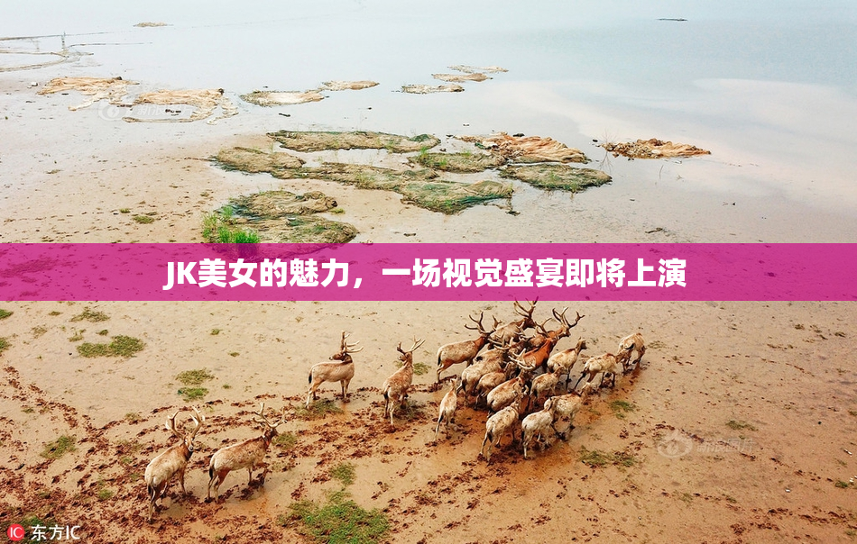 JK美女的魅力，一场视觉盛宴即将上演