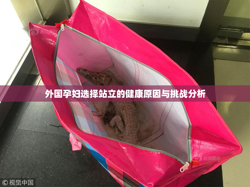 外国孕妇选择站立的健康原因与挑战分析